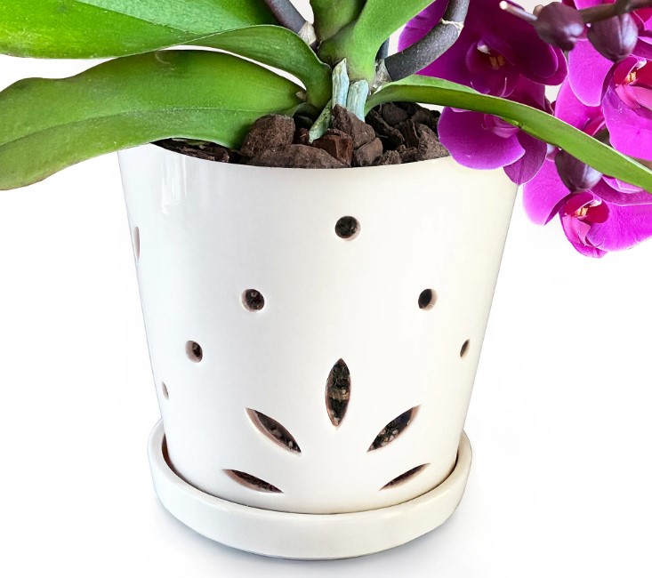 6.5 orchid pot